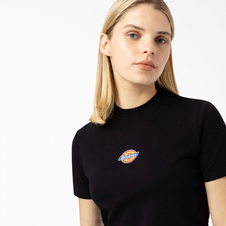 Maple Valley Logo Cropped T-Shirt Women Dickies Black (KBK) 88T842097 Apparel