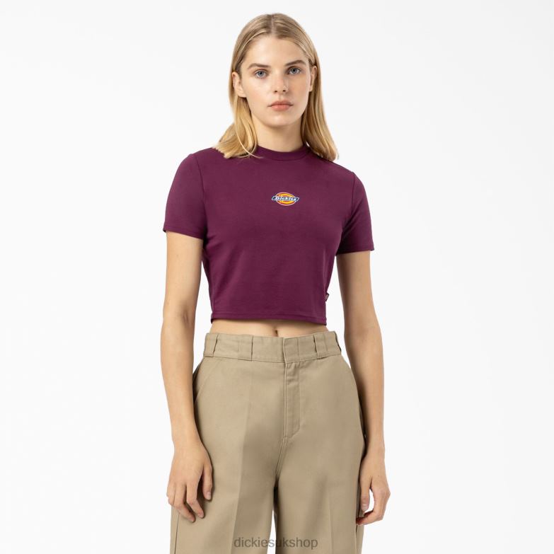 Maple Valley Logo Cropped T-Shirt Women Dickies Grape Wine (GW9) 88T842095 Apparel