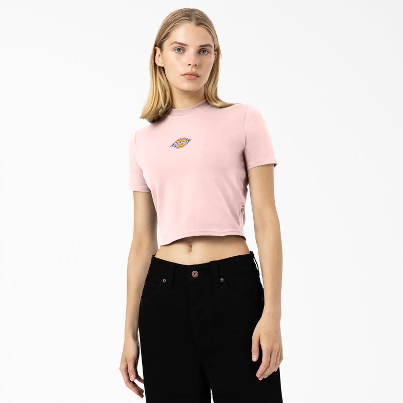 Maple Valley Logo Cropped T-Shirt Women Dickies Pink (PK) 88T842099 Apparel