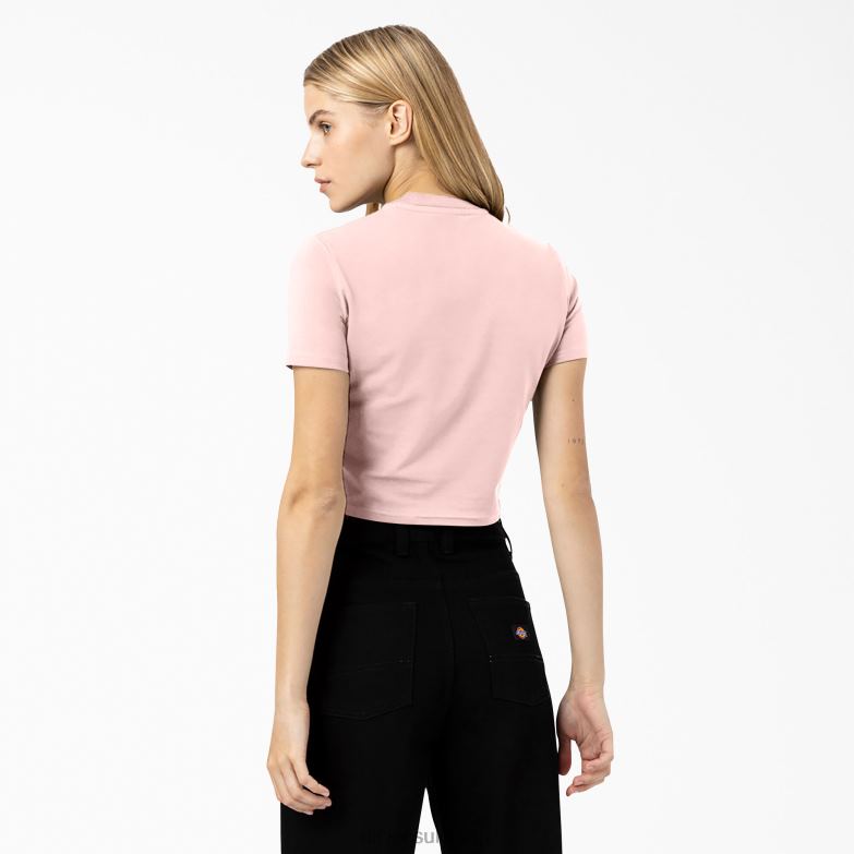 Maple Valley Logo Cropped T-Shirt Women Dickies Pink (PK) 88T842099 Apparel