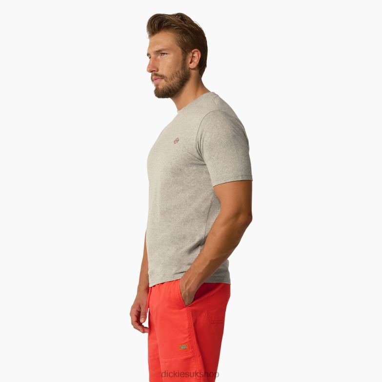 Mapleton Short Sleeve T-Shirt Men Dickies Heather Gray (HG) 88T84819 Apparel