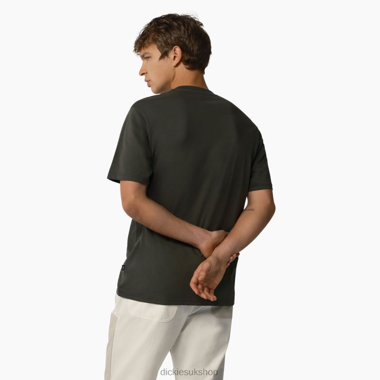 Mapleton Short Sleeve T-Shirt Men Dickies Olive Green (OG) 88T84822 Apparel