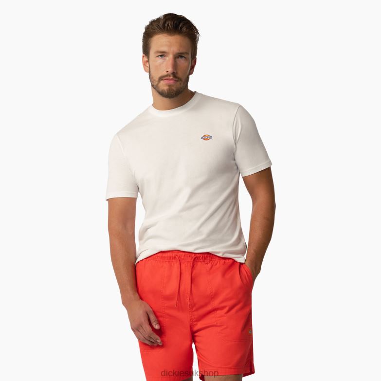 Mapleton Short Sleeve T-Shirt Men Dickies White (WH) 88T84823 Apparel