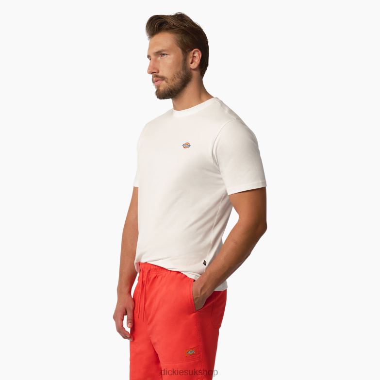 Mapleton Short Sleeve T-Shirt Men Dickies White (WH) 88T84823 Apparel