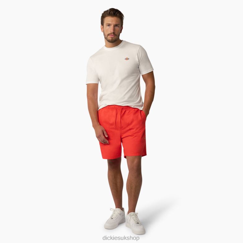 Mapleton Short Sleeve T-Shirt Men Dickies White (WH) 88T84823 Apparel
