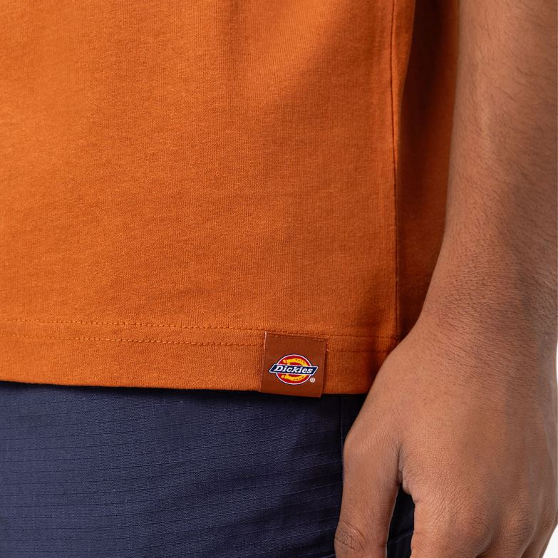 Marbury Short Sleeve T-Shirt Men Dickies Gingerbread Brown (IE) 88T84801 Apparel