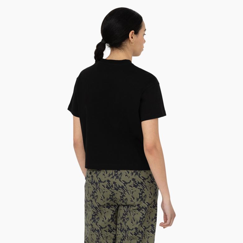 Oakport Cropped T-Shirt Women Dickies Black (KBK) 88T842043 Apparel