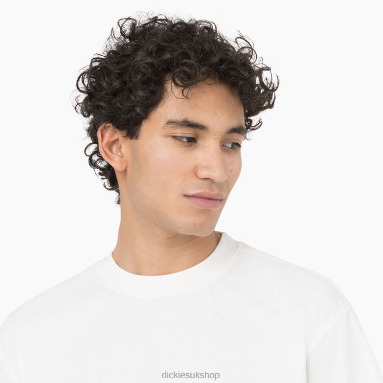 Oatfield Short Sleeve T-Shirt Men Dickies Cloud (CL9) 88T84755 Apparel