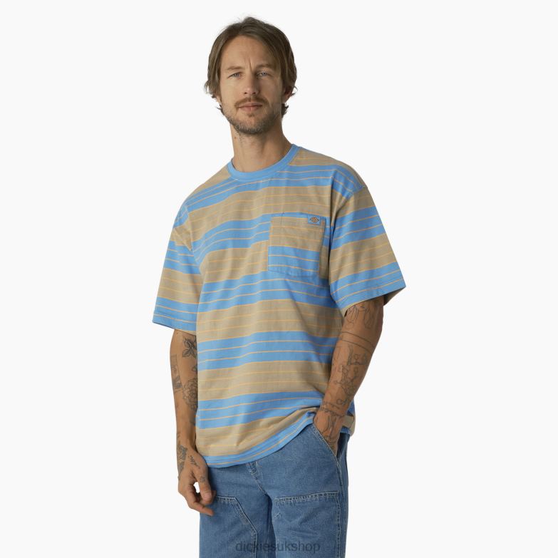 Relaxed Fit Striped Pocket T-Shirt Men Dickies Azure Blue/Desert Sand Stripe (AST) 88T84742 Apparel