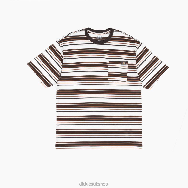 Relaxed Fit Striped Pocket T-Shirt Men Dickies Chocolate Brown Stripe (CSR) 88T84744 Apparel