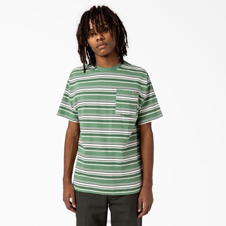Relaxed Fit Striped Pocket T-Shirt Men Dickies Dark Ivy Variegated Stripe (DSV) 88T84745 Apparel