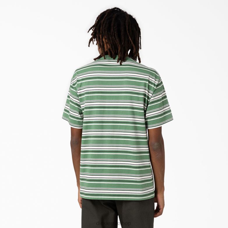 Relaxed Fit Striped Pocket T-Shirt Men Dickies Dark Ivy Variegated Stripe (DSV) 88T84745 Apparel