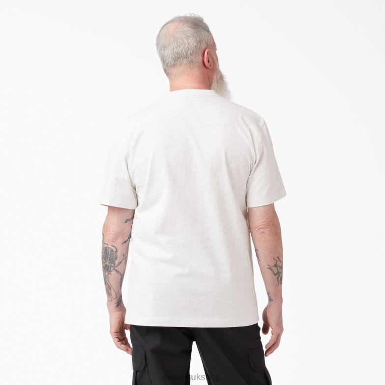 Short Sleeve Heavyweight T-Shirt Men Dickies Ash Gray (AG) 88T84504 Apparel