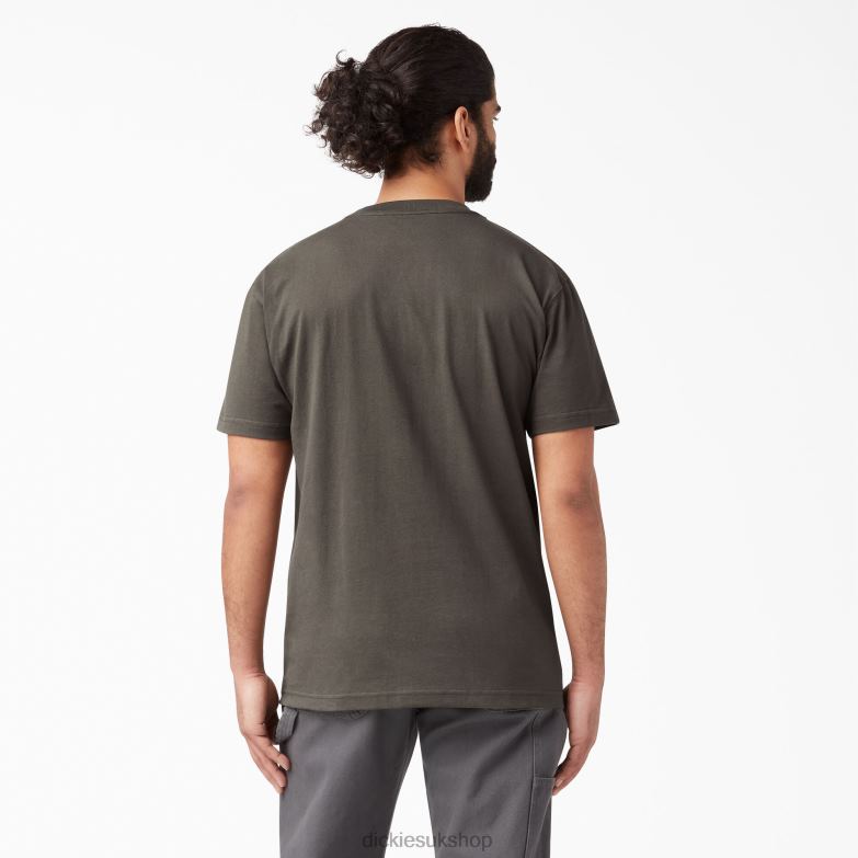 Short Sleeve Heavyweight T-Shirt Men Dickies Black Olive (BV) 88T84508 Apparel