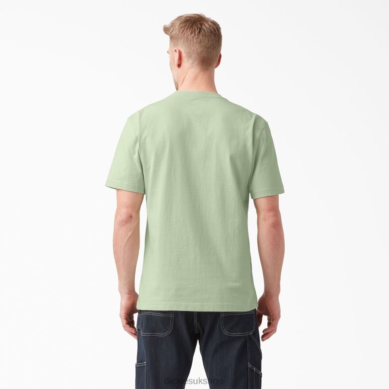 Short Sleeve Heavyweight T-Shirt Men Dickies Celadon Green (C2G) 88T84512 Apparel