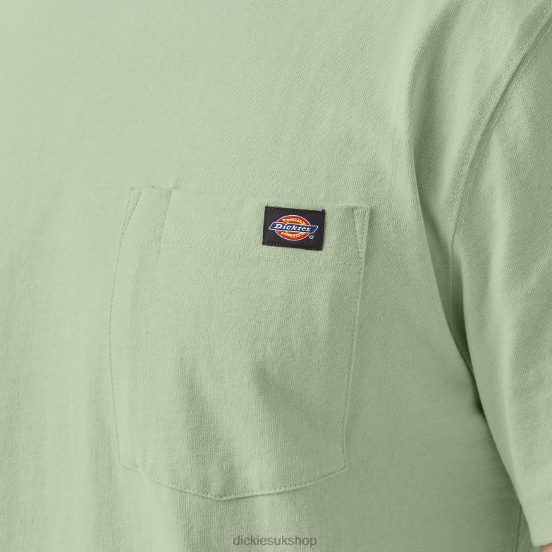 Short Sleeve Heavyweight T-Shirt Men Dickies Celadon Green (C2G) 88T84512 Apparel