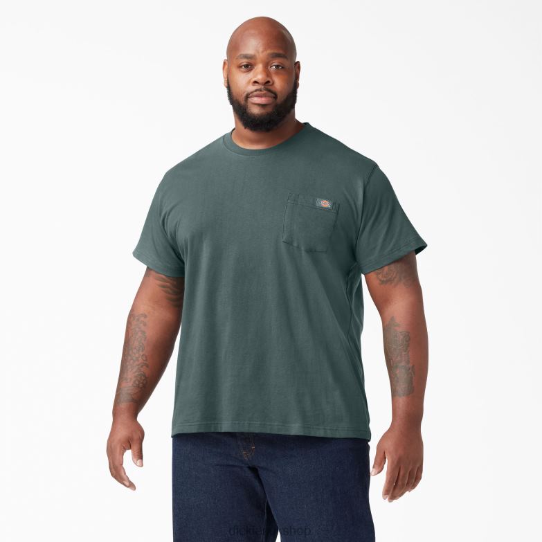 Short Sleeve Heavyweight T-Shirt Men Dickies Lincoln Green (LN) 88T84518 Apparel
