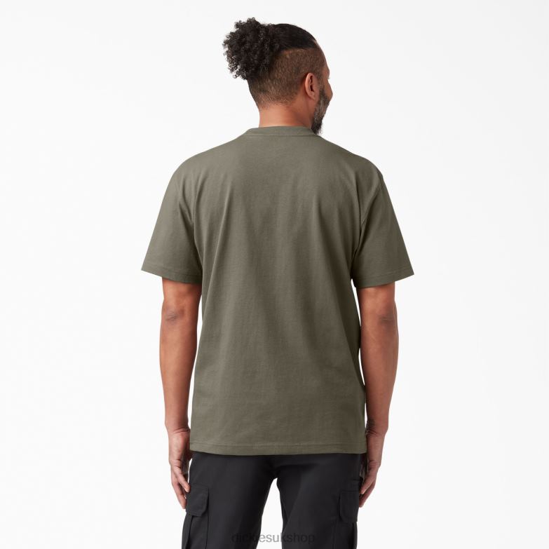 Short Sleeve Heavyweight T-Shirt Men Dickies Mushroom (MR1) 88T84520 Apparel