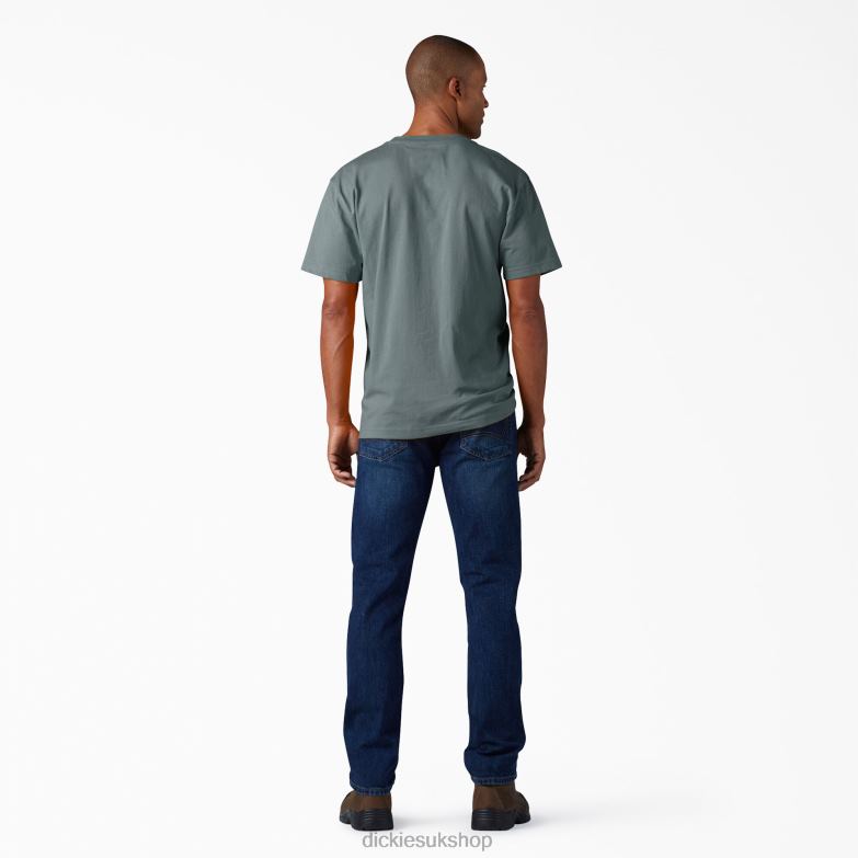 Short Sleeve Heavyweight T-Shirt Men Dickies Smoke Blue (BM) 88T84507 Apparel