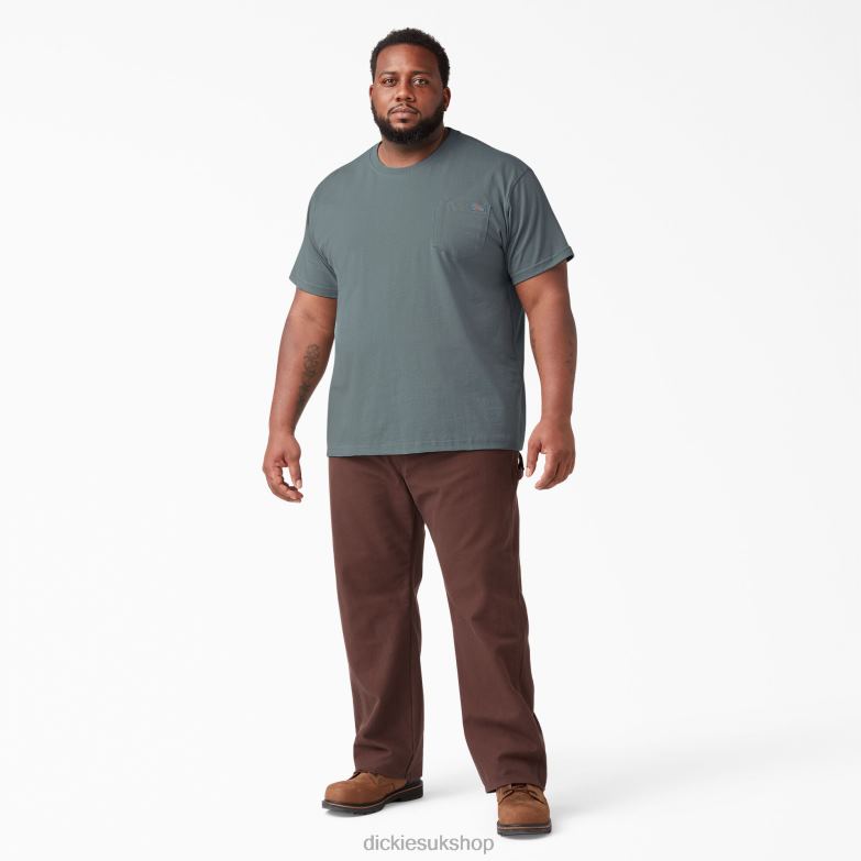 Short Sleeve Heavyweight T-Shirt Men Dickies Smoke Blue (BM) 88T84507 Apparel