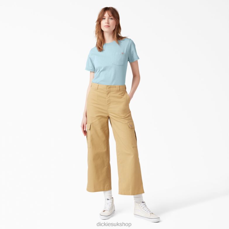 Short Sleeve Heavyweight T-Shirt Women Dickies Dockside Blue (DU1) 88T841957 Apparel