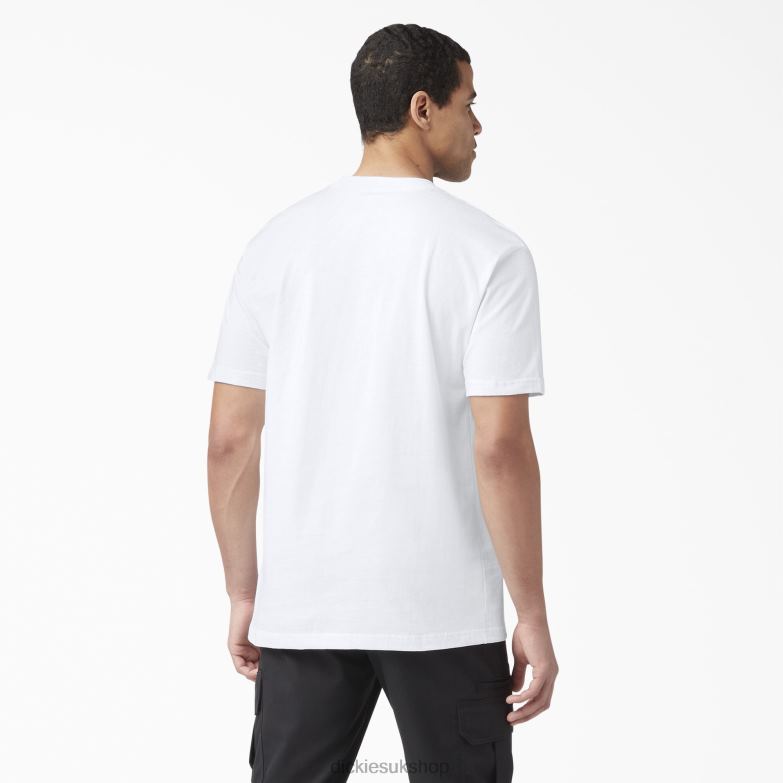 Short Sleeve Lightweight Pocket T-Shirt Men Dickies White (WH) 88T84576 Apparel