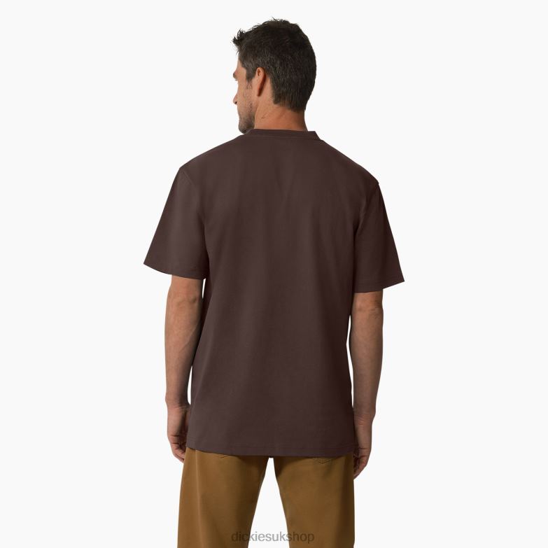 Short Sleeve Tri-Color Logo Graphic T-Shirt Men Dickies Chocolate Brown (CB) 88T84708 Apparel