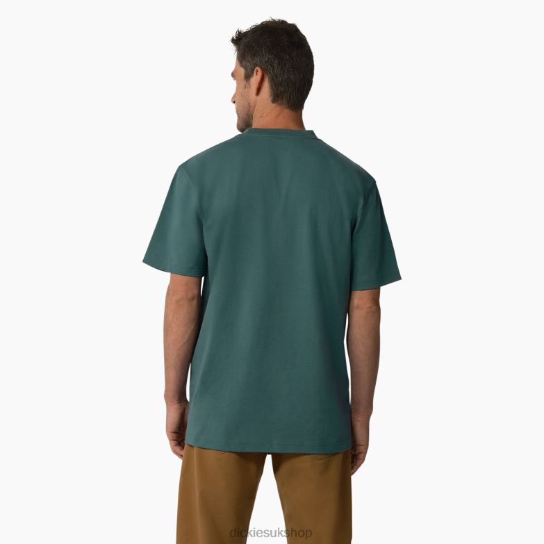 Short Sleeve Tri-Color Logo Graphic T-Shirt Men Dickies Lincoln Green (LN) 88T84713 Apparel