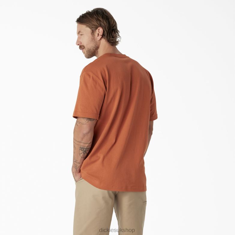 Short Sleeve Wordmark Graphic T-Shirt Men Dickies Copper (CO) 88T84811 Apparel