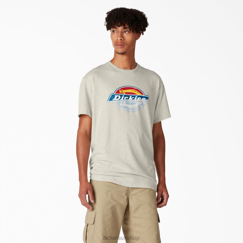 Skateboarding Distressed OG Graphic T-Shirt Men Dickies Oatmeal Heather (OA) 88T84834 Apparel