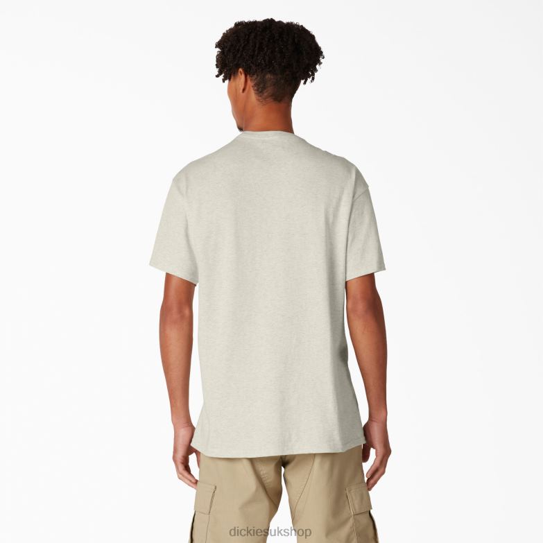Skateboarding Distressed OG Graphic T-Shirt Men Dickies Oatmeal Heather (OA) 88T84834 Apparel
