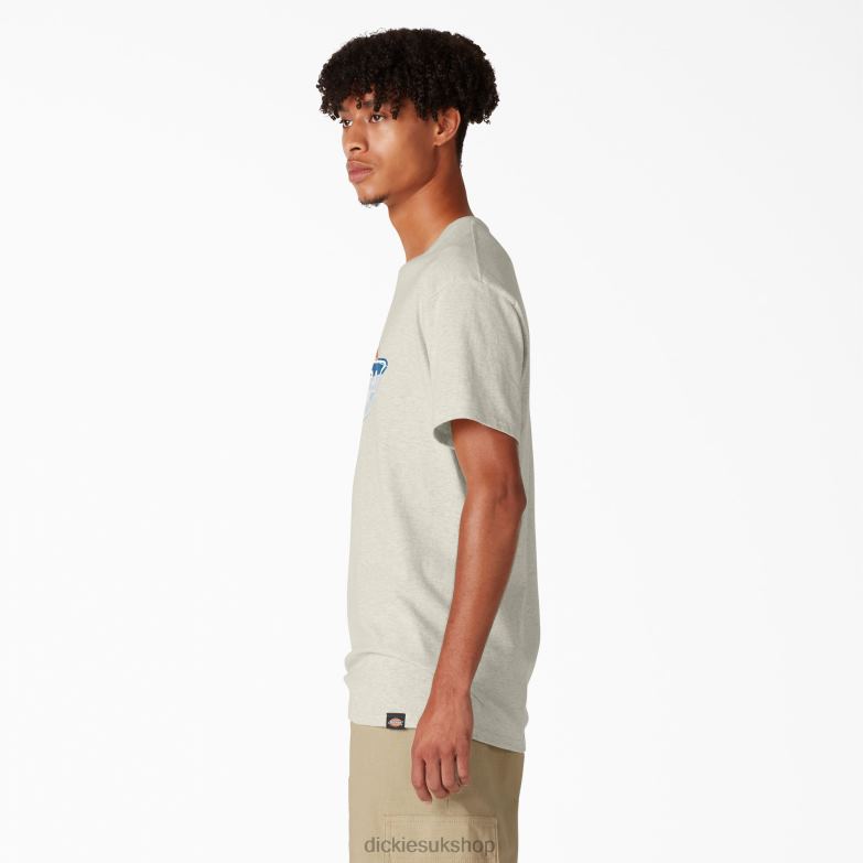 Skateboarding Distressed OG Graphic T-Shirt Men Dickies Oatmeal Heather (OA) 88T84834 Apparel