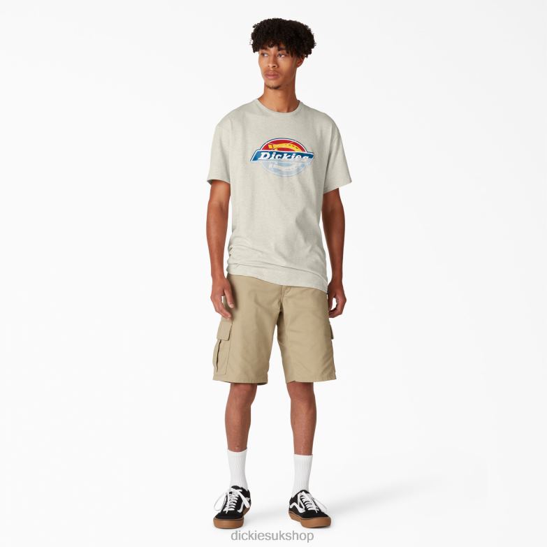 Skateboarding Distressed OG Graphic T-Shirt Men Dickies Oatmeal Heather (OA) 88T84834 Apparel