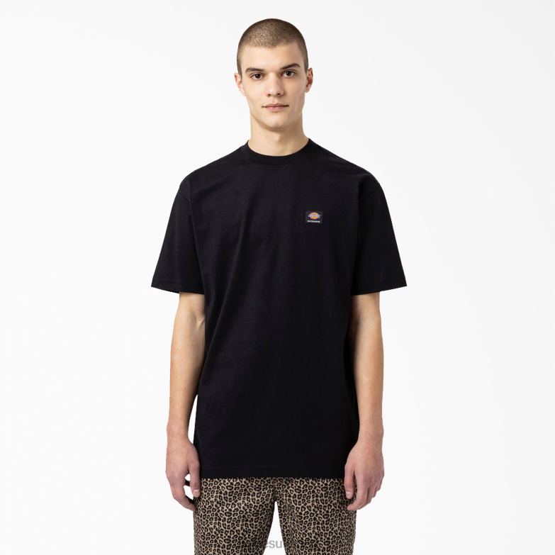 Skateboarding Mount Vista T-Shirt Men Dickies Black (BKX) 88T84929 Apparel