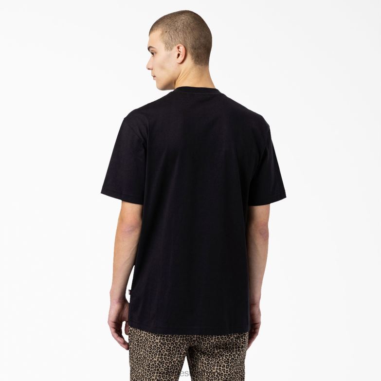 Skateboarding Mount Vista T-Shirt Men Dickies Black (BKX) 88T84929 Apparel