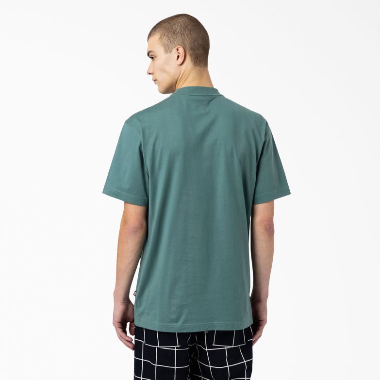 Skateboarding Mount Vista T-Shirt Men Dickies Lincoln Green (LN) 88T84930 Apparel