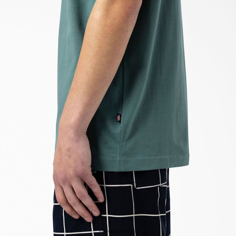 Skateboarding Mount Vista T-Shirt Men Dickies Lincoln Green (LN) 88T84930 Apparel