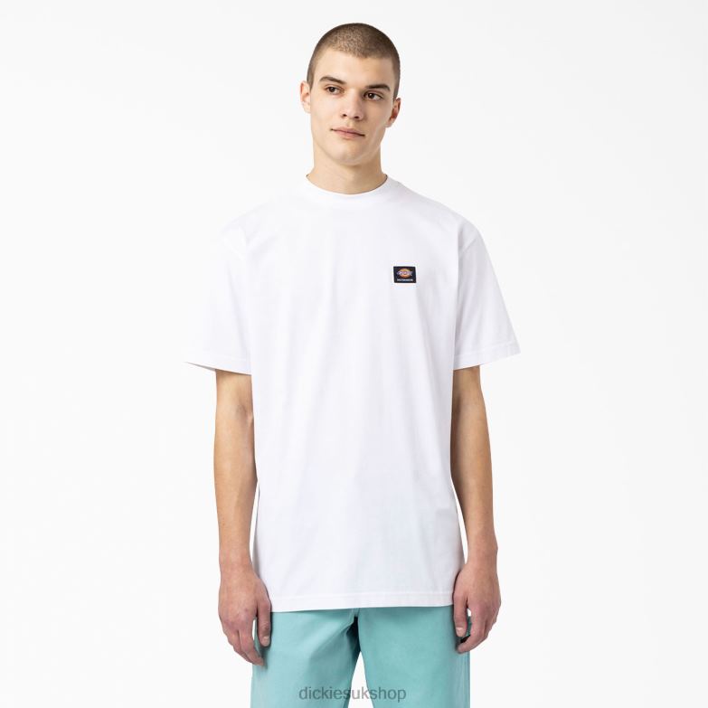Skateboarding Mount Vista T-Shirt Men Dickies White (WH) 88T84931 Apparel