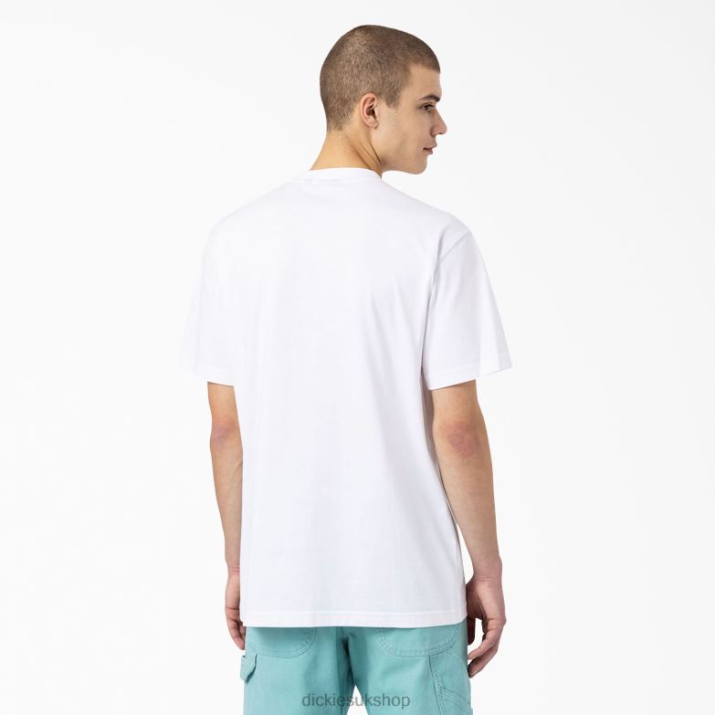 Skateboarding Mount Vista T-Shirt Men Dickies White (WH) 88T84931 Apparel