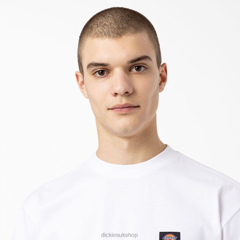 Skateboarding Mount Vista T-Shirt Men Dickies White (WH) 88T84931 Apparel