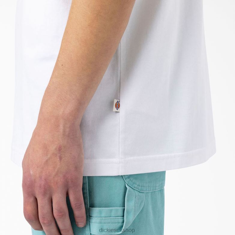 Skateboarding Mount Vista T-Shirt Men Dickies White (WH) 88T84931 Apparel