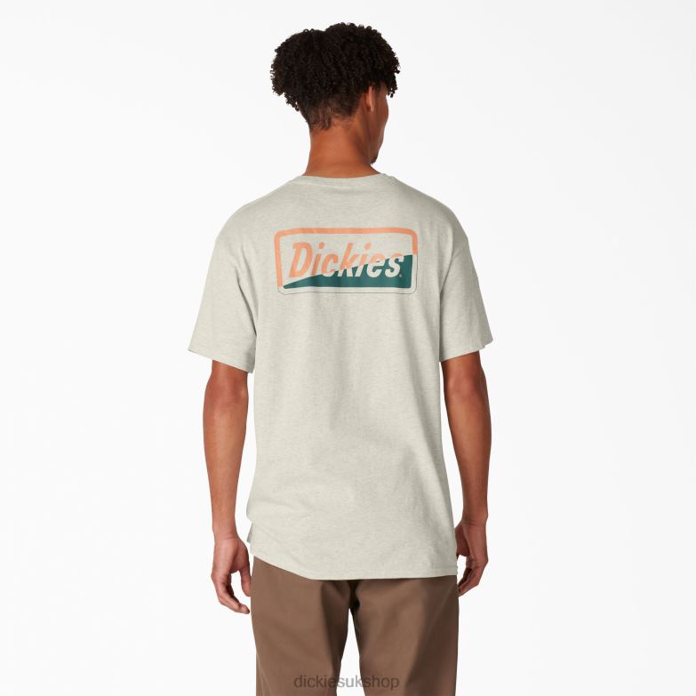 Skateboarding Split Graphic T-Shirt Men Dickies Oatmeal Heather (OA) 88T84852 Apparel