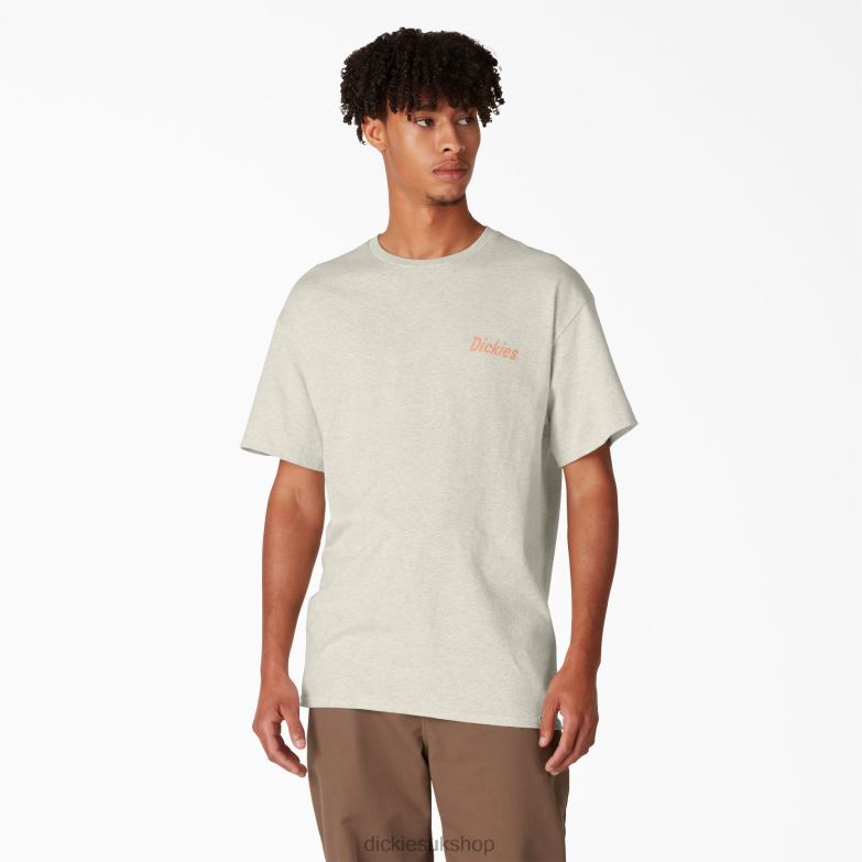 Skateboarding Split Graphic T-Shirt Men Dickies Oatmeal Heather (OA) 88T84852 Apparel