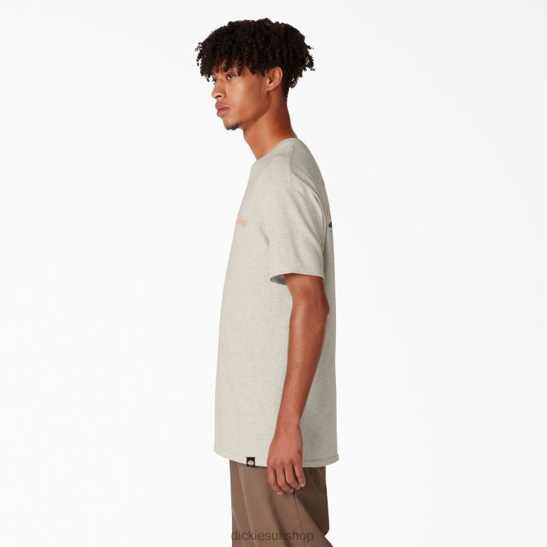 Skateboarding Split Graphic T-Shirt Men Dickies Oatmeal Heather (OA) 88T84852 Apparel