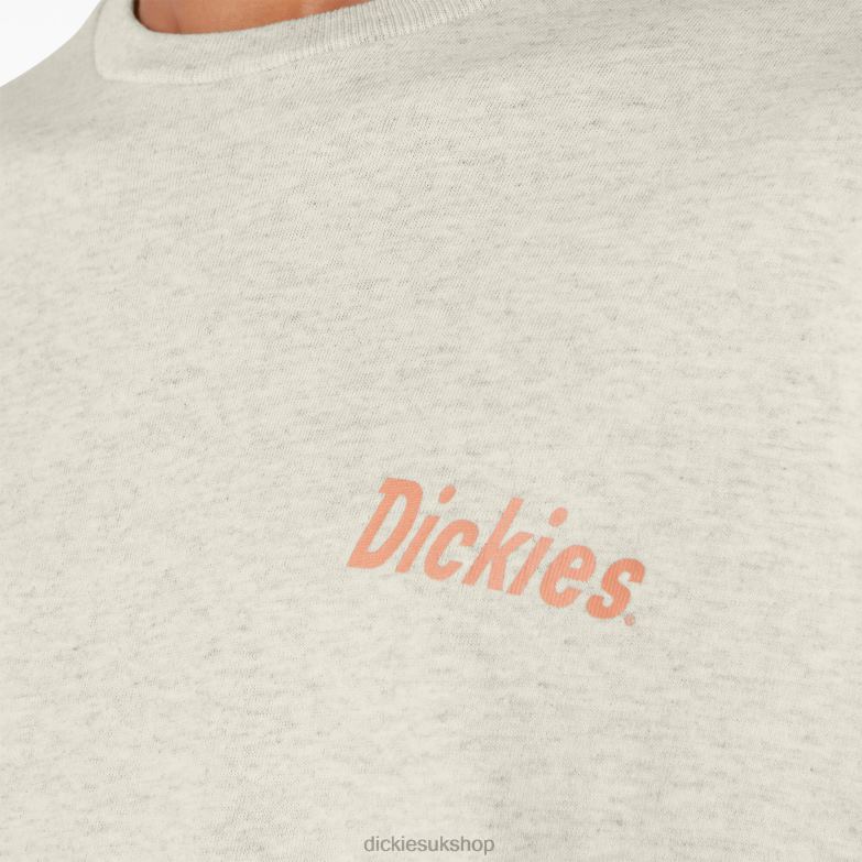 Skateboarding Split Graphic T-Shirt Men Dickies Oatmeal Heather (OA) 88T84852 Apparel