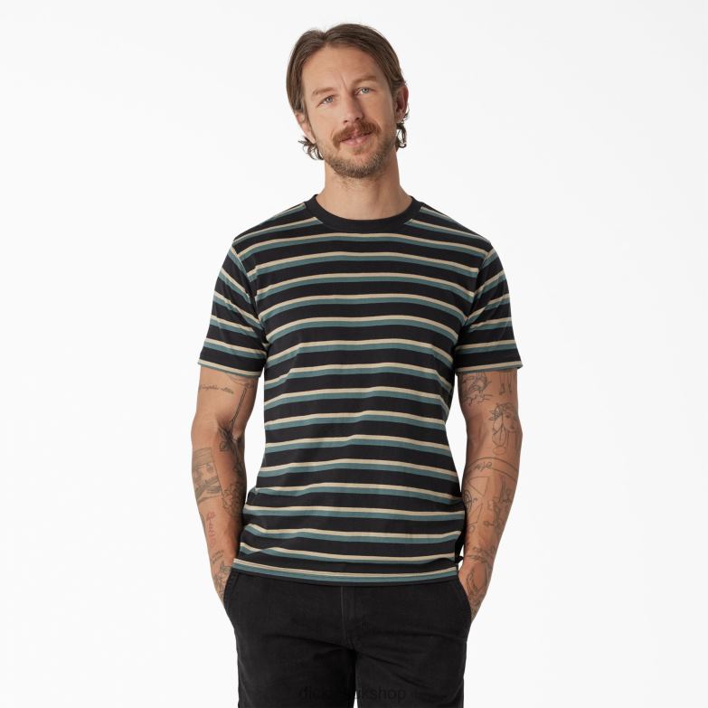 Skateboarding Striped T-Shirt Men Dickies Black/Lincoln Green Stripe (KSG) 88T84771 Apparel