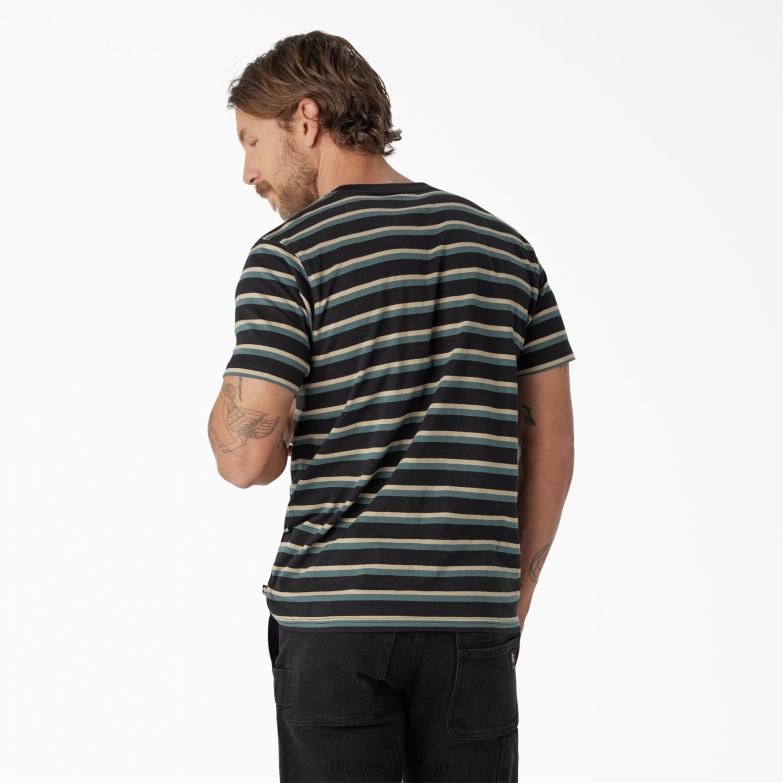 Skateboarding Striped T-Shirt Men Dickies Black/Lincoln Green Stripe (KSG) 88T84771 Apparel