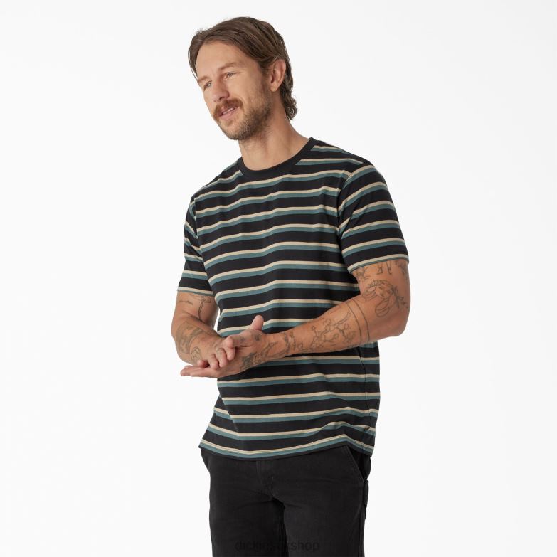 Skateboarding Striped T-Shirt Men Dickies Black/Lincoln Green Stripe (KSG) 88T84771 Apparel