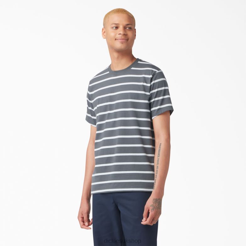 Skateboarding Striped T-Shirt Men Dickies Charcoal Mini Stripe (CSM) 88T84770 Apparel