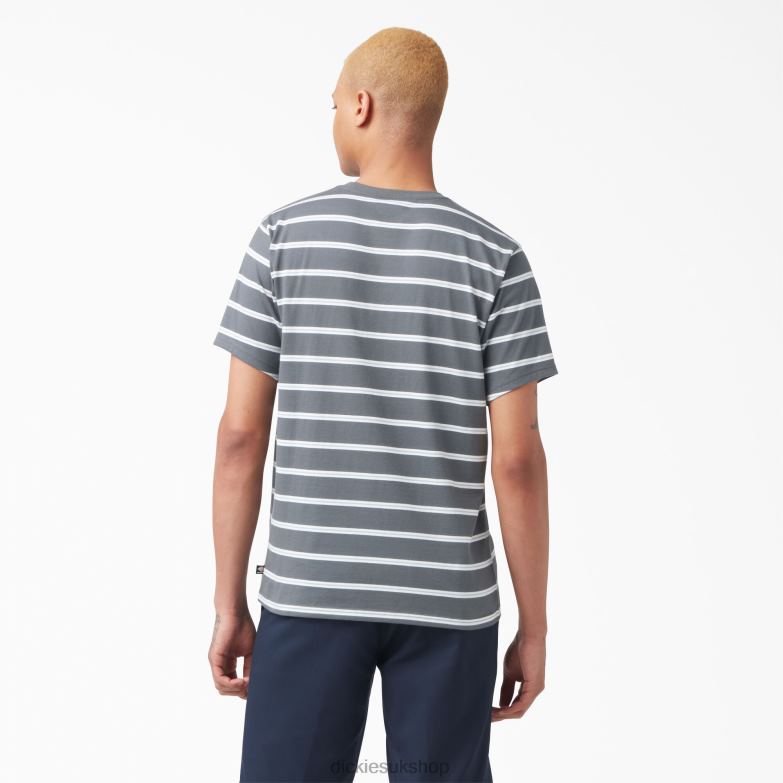 Skateboarding Striped T-Shirt Men Dickies Charcoal Mini Stripe (CSM) 88T84770 Apparel